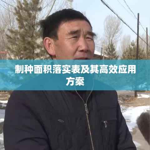 制种面积落实表及其高效应用方案