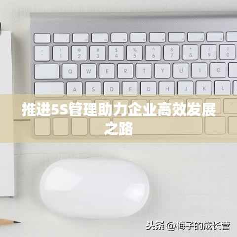 推进5S管理助力企业高效发展之路