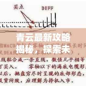 鸟覆危巢