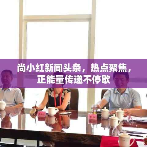 尚小红新闻头条,热点聚焦,正能量传递不停歇