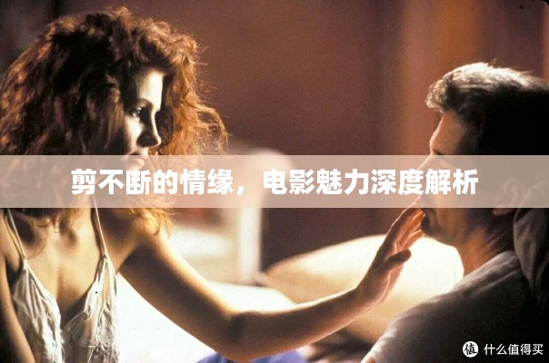 剪不断的情缘,电影魅力深度解析