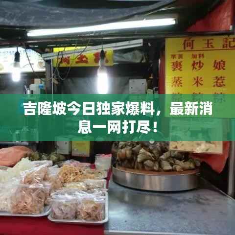 吉隆坡今日独家爆料,最新消息一网打尽!