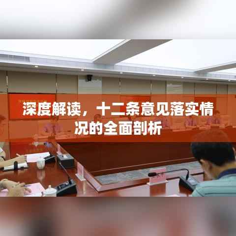 深度解读,十二条意见落实情况的全面剖析