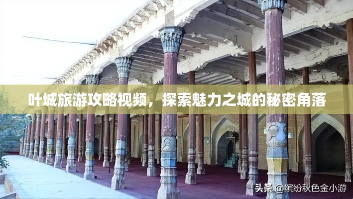 叶城旅游攻略视频,探索魅力之城的秘密角落