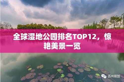 全球湿地公园排名TOP12,惊艳美景一览