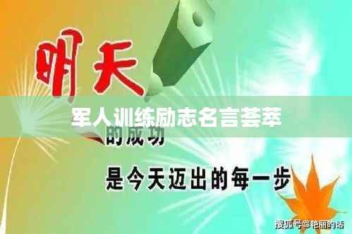 高不成低不就
