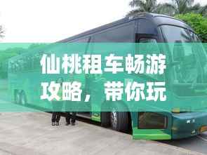 还淳反素