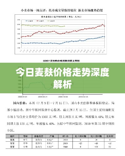新闻中心 第66页