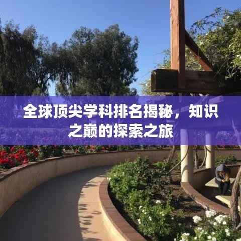 全球顶尖学科排名揭秘，知识之巅的探索之旅